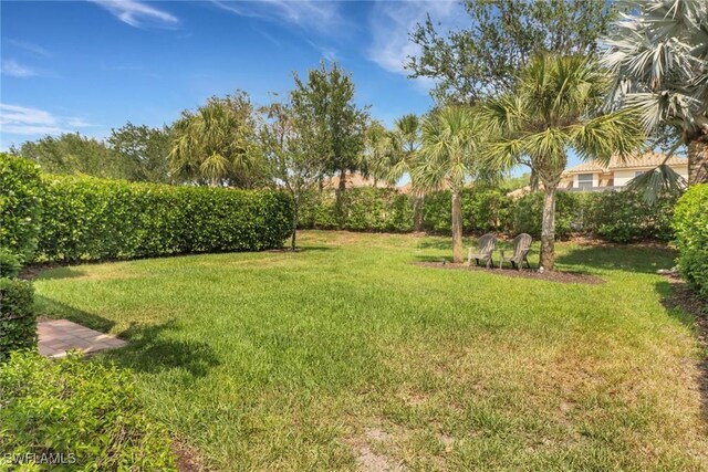 20263 Cypress Shadows Blvd, Estero, FL 33928 - view of yard