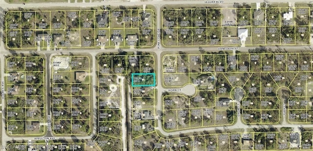 1016 Pine Cove Dr, Lehigh Acres, FL 33974