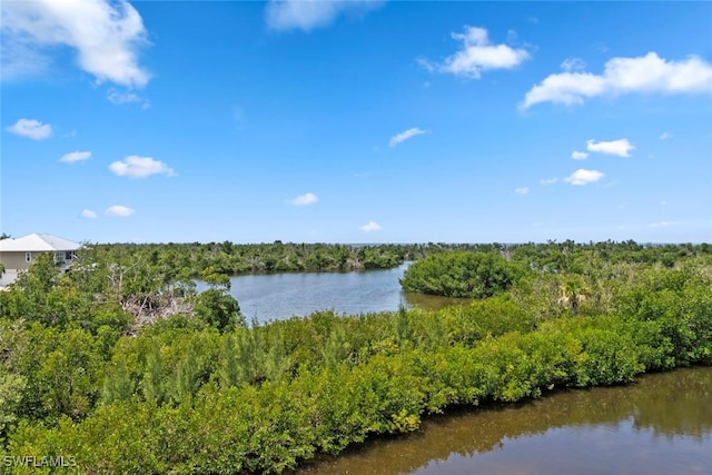 property view of water