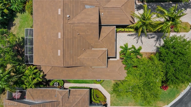 drone / aerial view