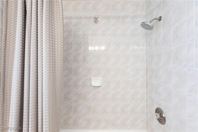 919 SE 16th St, Cape Coral, FL 33990 - full bathroom featuring a shower with shower curtain