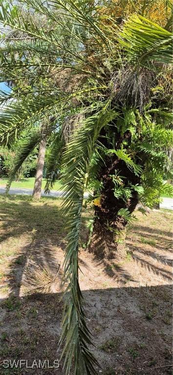 315 Cleveland Ave, Lehigh Acres, FL 33936 - view of details