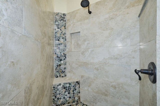 14571 Grande Cay Cir Unit 3203, Fort Myers, FL 33908 - interior details with a tile shower
