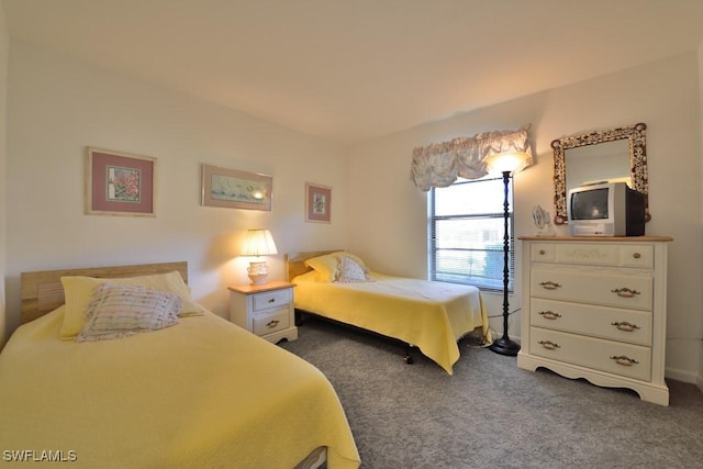 25402 Golf Lake Cir Unit 114, Bonita Springs, FL 34135 - bedroom with dark colored carpet