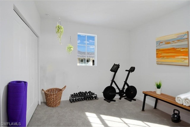 exercise area with carpet flooring