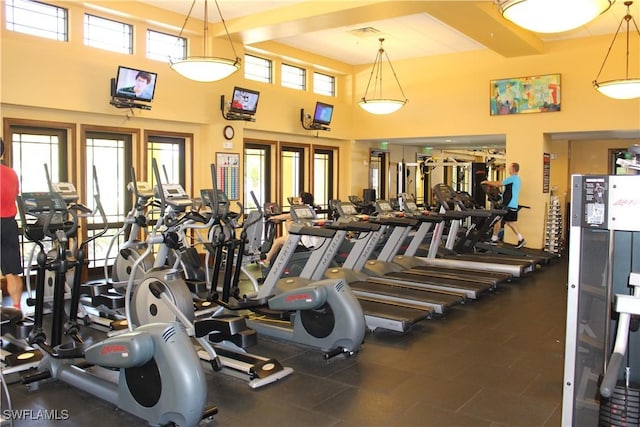 10843 Valentina Ct, Fort Myers, FL 33913 - workout area with a high ceiling
