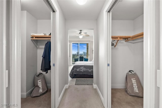 walk in closet with ceiling fan and carpet flooring
