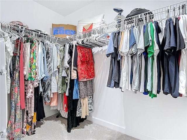 13868 Pine Lodge Ln, Fort Myers, FL 33913 - walk in closet featuring carpet flooring