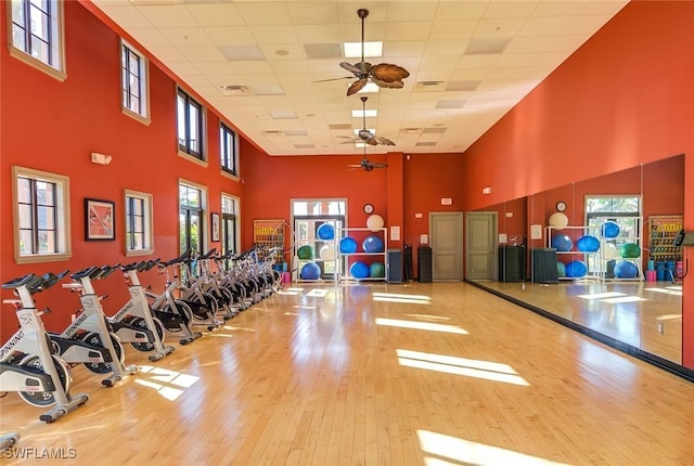 exercise room with a ceiling fan, a drop ceiling, a towering ceiling, and hardwood / wood-style floors