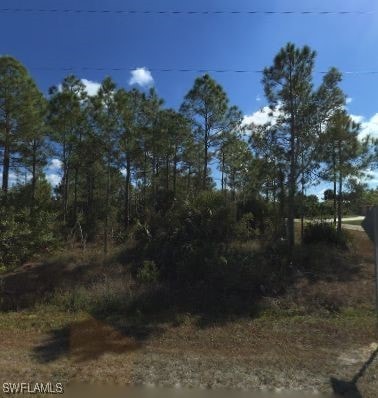 1100 Sheldon Ave, Lehigh Acres, FL 33936