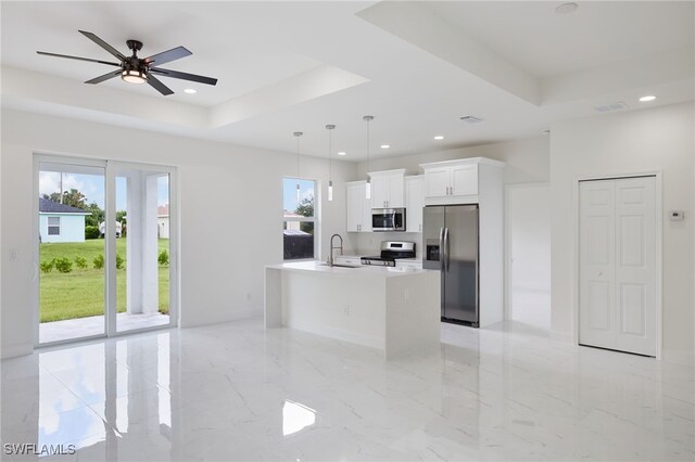 kitchen featuring a healthy amount of sunlight, a raised ceiling, and stainless steel appliances