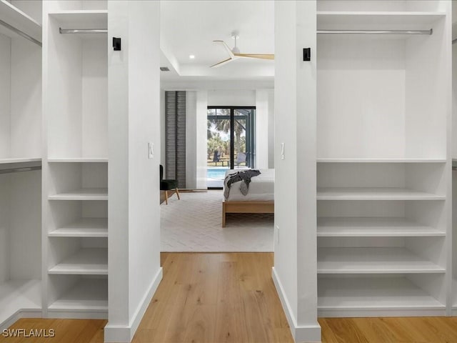 walk in closet with wood finished floors