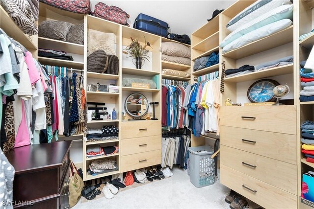 1255 Eider Ct, Punta Gorda, FL 33950 - walk in closet featuring carpet flooring