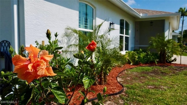 2847 SW 26th Pl, Cape Coral, FL 33914 - view of yard
