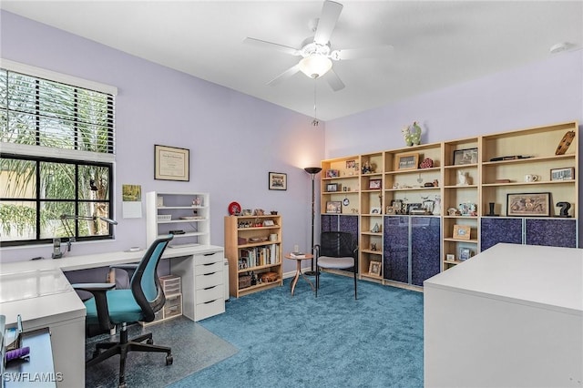 office space featuring ceiling fan and carpet