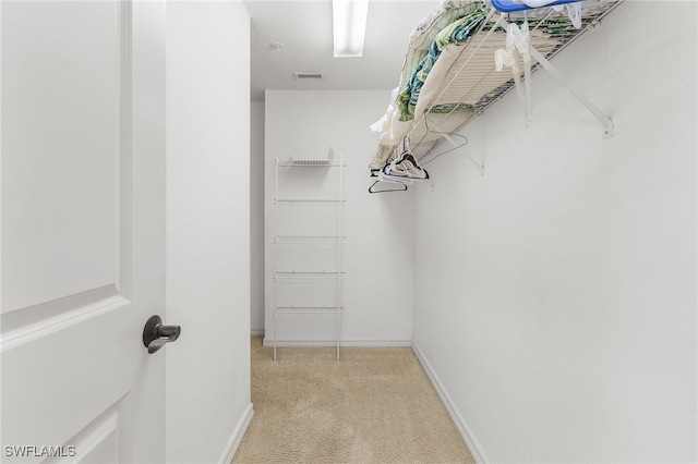 spacious closet featuring carpet flooring and visible vents