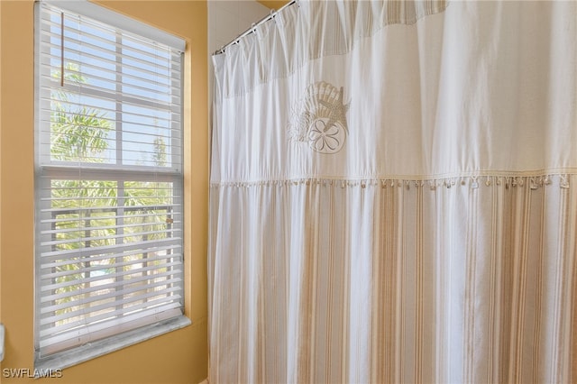 interior details with a shower with curtain