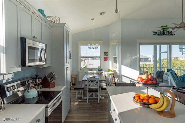 kitchen with appliances with stainless steel finishes, lofted ceiling, dark wood finished floors, healthy amount of natural light, and a chandelier