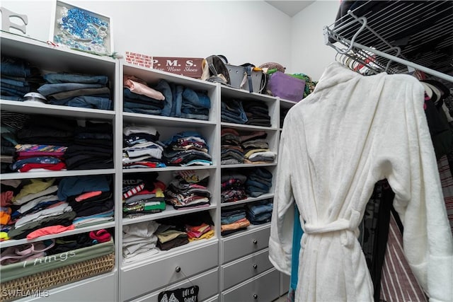 view of walk in closet
