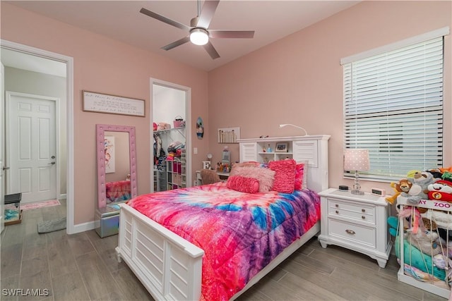 bedroom with a walk in closet, a closet, a ceiling fan, and wood finished floors