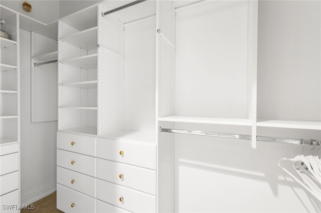 11239 Bienvenida Ct Unit 11C, Fort Myers, FL 33908 - view of walk in closet