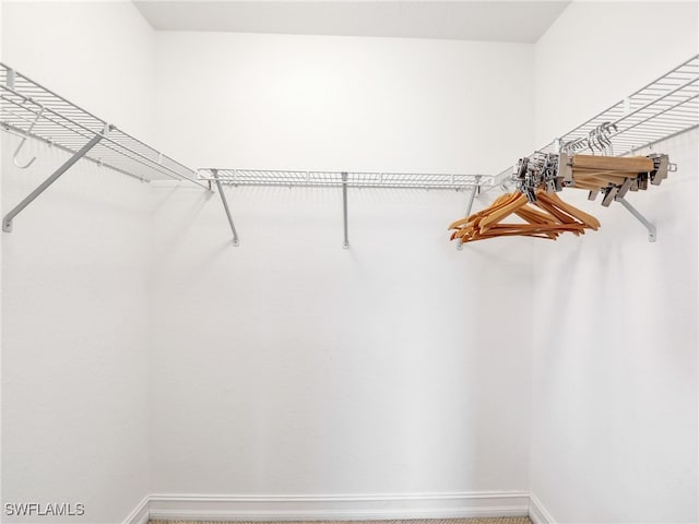 201 SE 4th St, Cape Coral, FL 33990 - view of walk in closet
