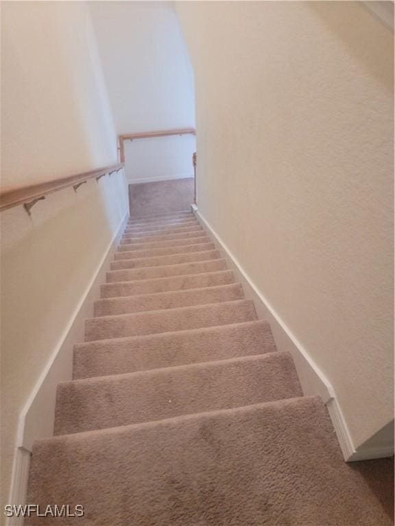 stairway featuring carpet flooring