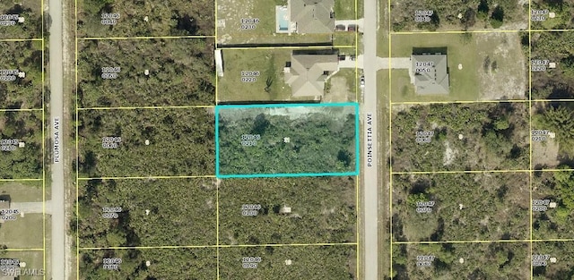 1115 Poinsettia Ave, Lehigh Acres FL, 33972 land for sale