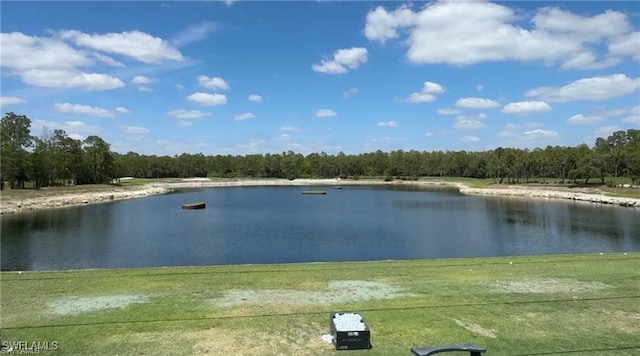 water view featuring a forest