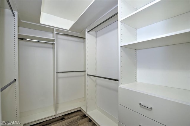 1910 Virginia Ave Unit 1302, Fort Myers, FL 33901 - walk in closet featuring dark wood-style floors