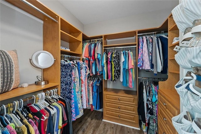 walk in closet with wood finished floors