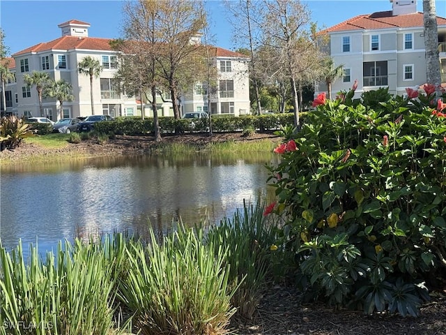water view