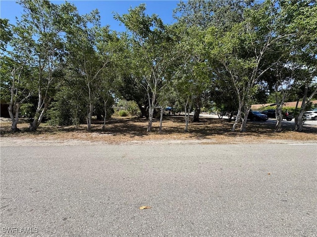 11688 Saunders Ave, Bonita Springs, FL 34135 - view of street