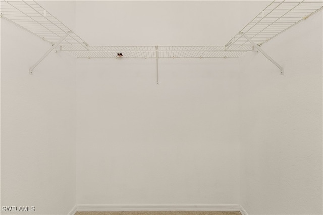 spacious closet featuring light carpet