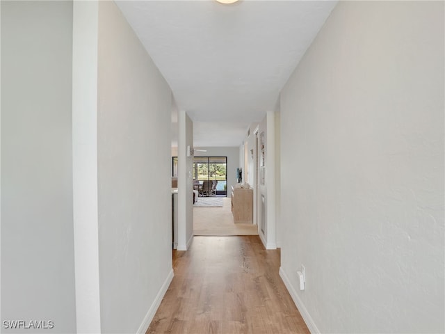 13111 Cross Creek Blvd Unit 208, Fort Myers, FL 33912 - hallway featuring light wood-style flooring and baseboards