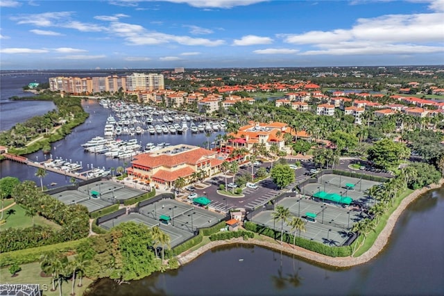 14220 Royal Harbour Ct Unit 607, Fort Myers, FL 33908 - view of property location featuring a large body of water and numerous boat docks