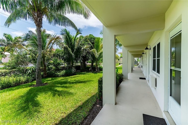 235 Seaview Ct Unit C4, Marco Island, FL 34145 - view of grassy yard