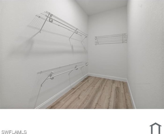 spacious closet featuring light wood-style flooring