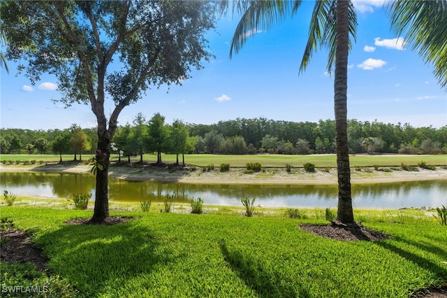 17960 Bonita National Blvd Unit 1716, Bonita Springs, FL 34135 - water view