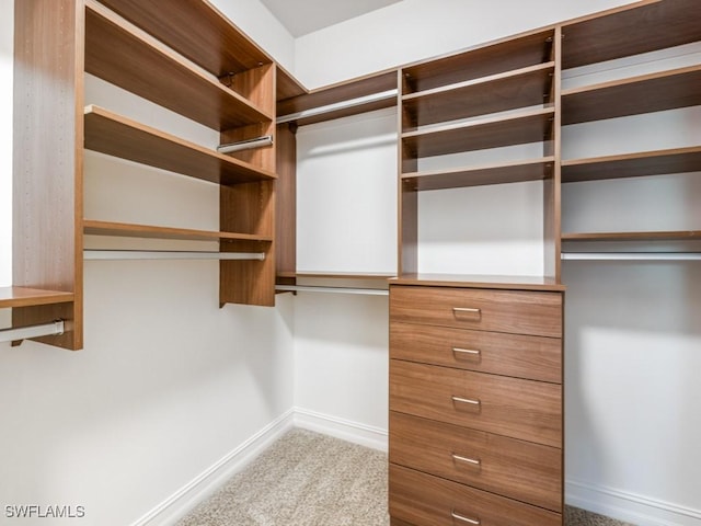 1264 Rialto Way Unit 201, Naples, FL 34114 - walk in closet featuring carpet