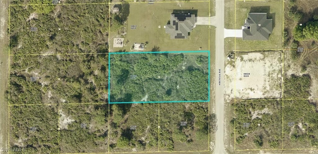 1303 Hibiscus Ave, Lehigh Acres, FL 33972