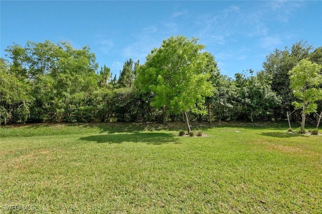2036 Pigeon Plum Way N, Fort Myers, FL 33917 - view of yard
