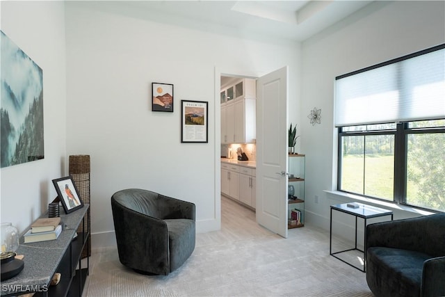 sitting room with light colored carpet and baseboards