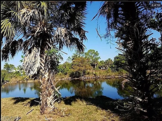 880 18th St NE, Naples, FL 34120 - view of water feature
