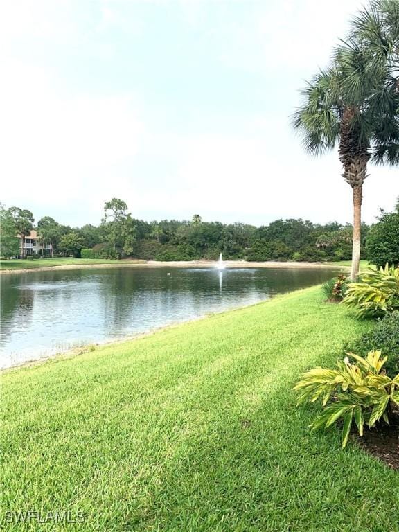 water view