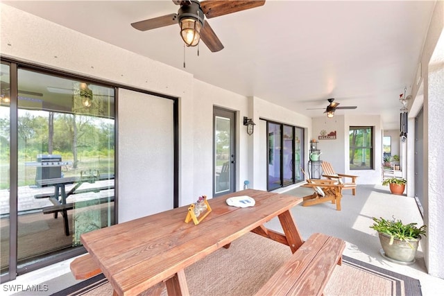 sunroom featuring carpet floors