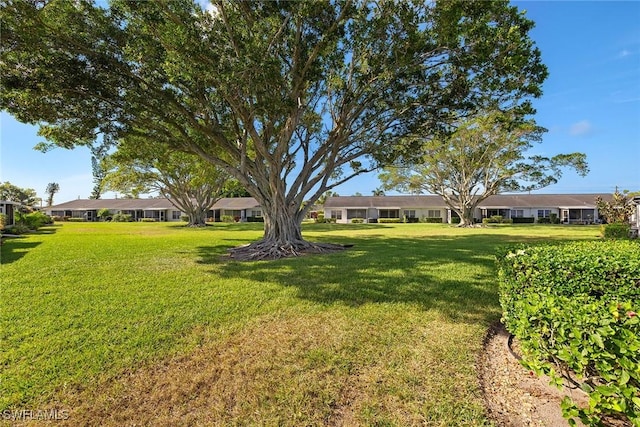 6861 Bogey Dr, Fort Myers, FL 33919 - view of green lawn