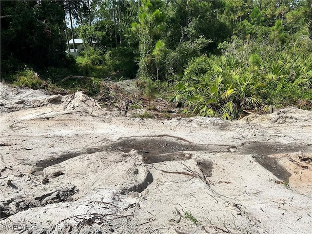 1305 W 18th St, Lehigh Acres, FL 33972 - view of local wilderness