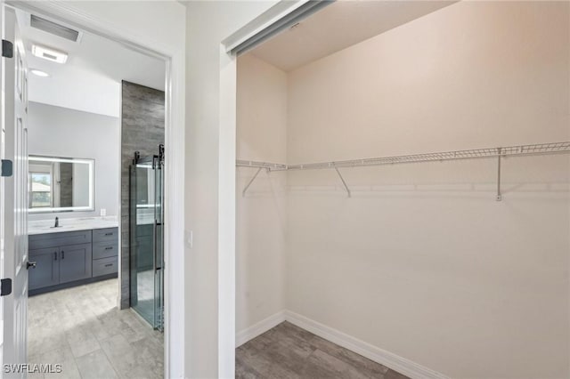 walk in closet with a sink