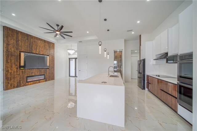 710 SW 25th Ln, Cape Coral, FL 33914 - kitchen featuring modern cabinets, appliances with stainless steel finishes, a sink, white cabinets, and a fireplace